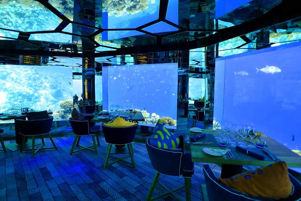 海のなかで食事？！　魅惑の水中レストラン