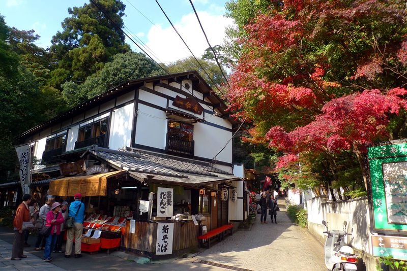 そばまつりも開催！紅葉色づく東京・深大寺で祈って食べて体験する