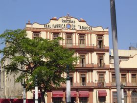 Ju̐ԂAL[o̎snoisXT悤̋LTlC