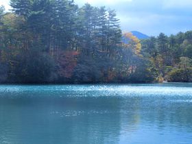 �������w�̌i���n�͐A�ɁA���̖��؋��`���֒�E�ܐF���`�̋L���T���l�C��