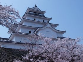 jIƐ퓬I꒣߂Z`Îᏼ`̋LTlC