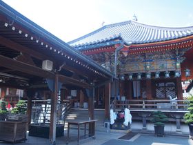 ���Y�F��̖����ŕ��l���X�����q���`��ˁE���R���`�̋L���T���l�C��