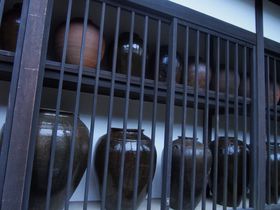 NR̖qEFĂ̂ӂ邳Ɓ`usR`̋LTlC