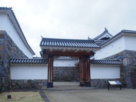 ̗vnɂт鑍Ί_̖`b{`̋LTlC