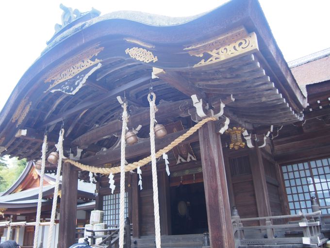 甲府の精神的支柱と宝物群「武田神社」