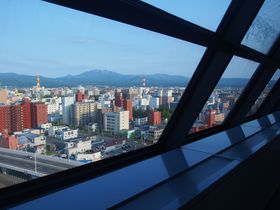 ���A���D�A��P�c�A�����������{�B�k�ӂ̍`���`�X�`�̋L���T���l�C��