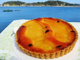 tRsEP[L̐؂藎Ƃ&i^g̑DITsII̋LTlC