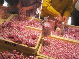 �������I�֓��̓��A��o�X�c�A�[�������߃����L���OTOP10�̋L���T���l�C��