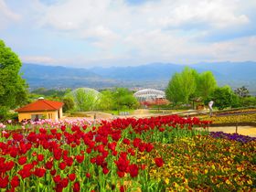 �V��̊y���I�w�J����t���[�c�����x�ōb�{�~�n�Ɠ�A���v�X�̐�i�𒭂߂�I�̋L���T���l�C��