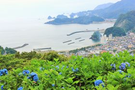 wE̒SŁAԁx̃PnIɓE蒬߂̋LTlC