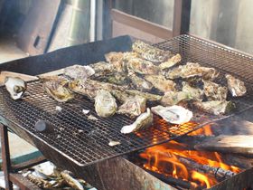 ~{IHsuRy{BvŉYyHׂ܂낤̋LTlC