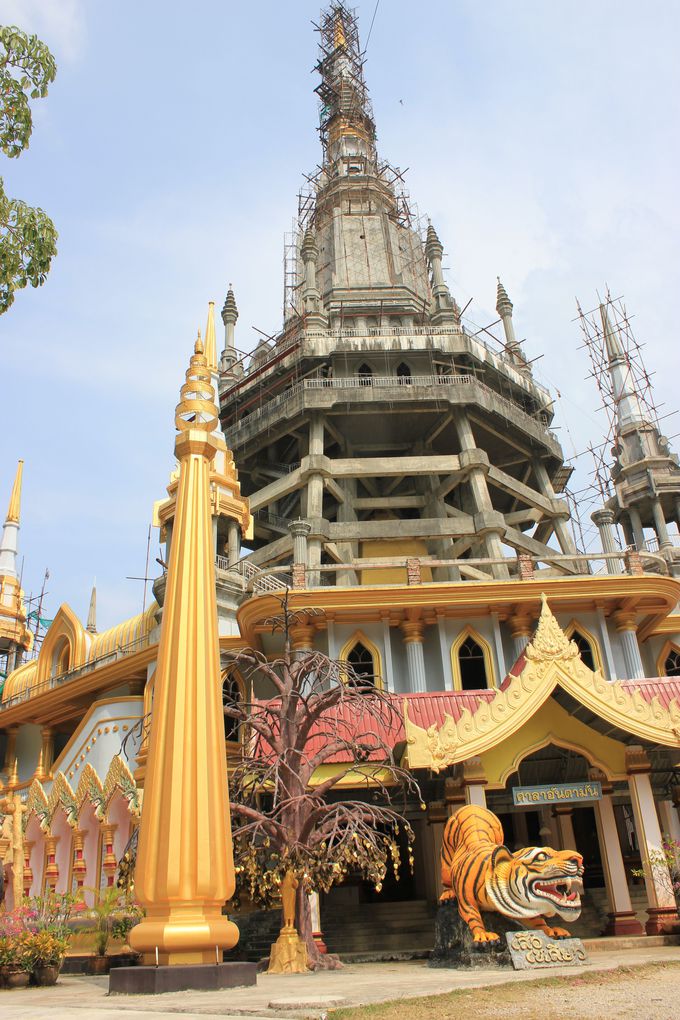 AIir[`20LI^NV[`[^[^oCNōs