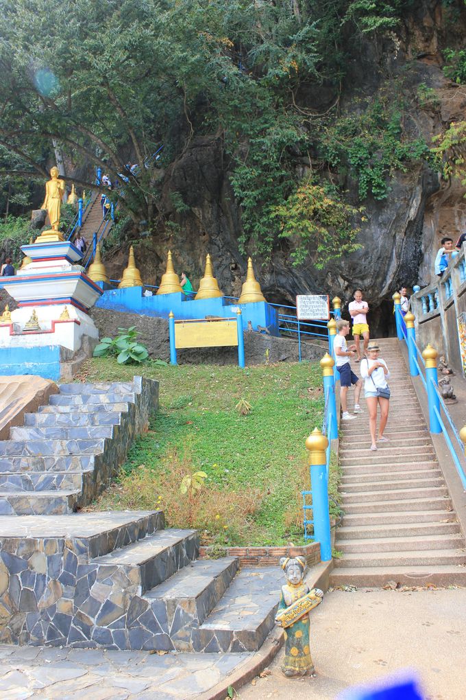 ő̓ő̌I1272i̊Ki