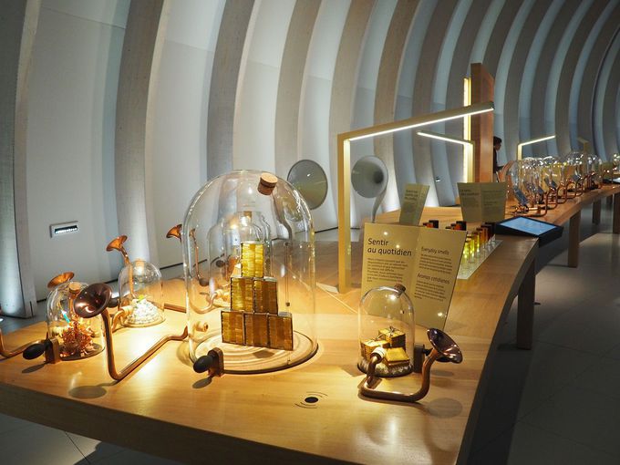 fUC̊ٓ܂ȂȂA܊tɎgĂ݂āI