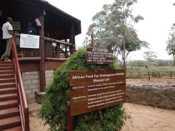 @ɕmLی삷ړIŐݗꂽ@AFEW