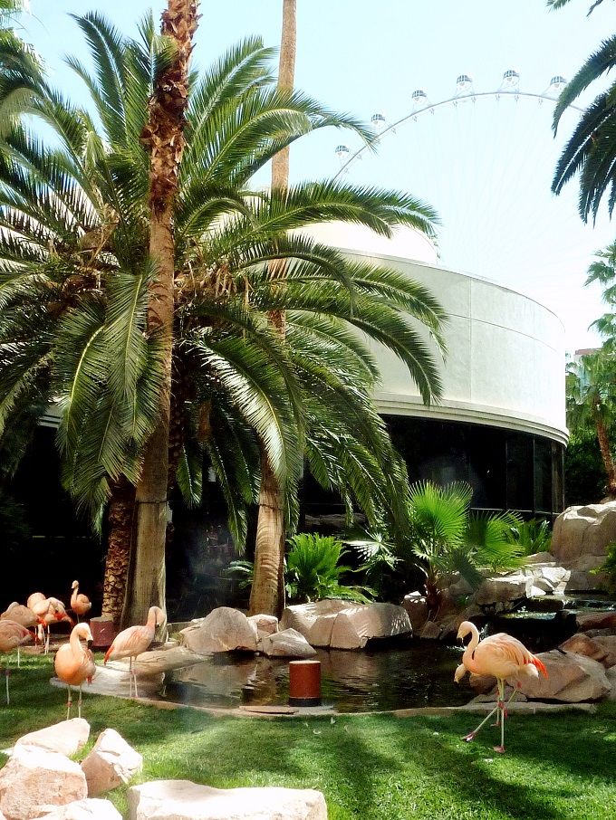 鳥の楽園「フラミンゴ」はピンクがキュートなホテル