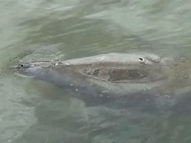 ~`t̊ԌIt_B^pu}ieB[ώ@Z^[vŖ쐶̃}ieB[ɉI̋LTlC