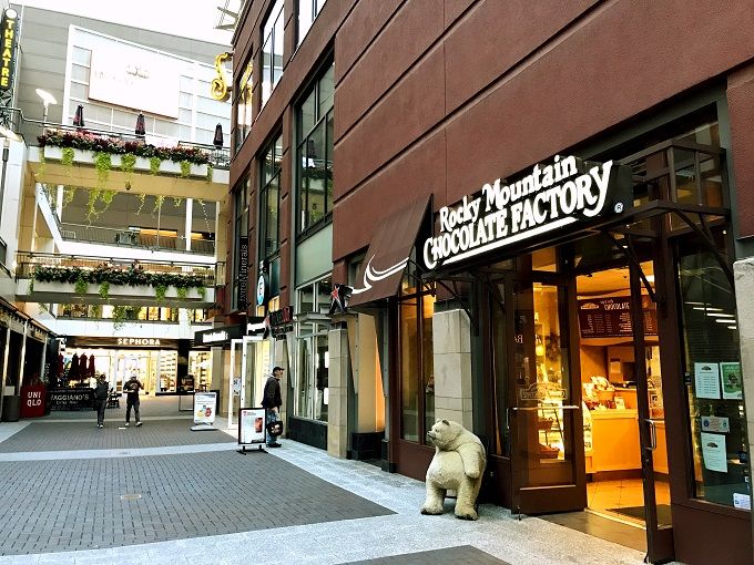 V܂̃EGX^VcŋC̓JE{[CI