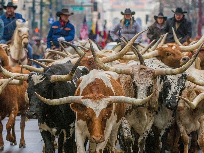 N̈ՂuSEGX^XgbNV[fIv