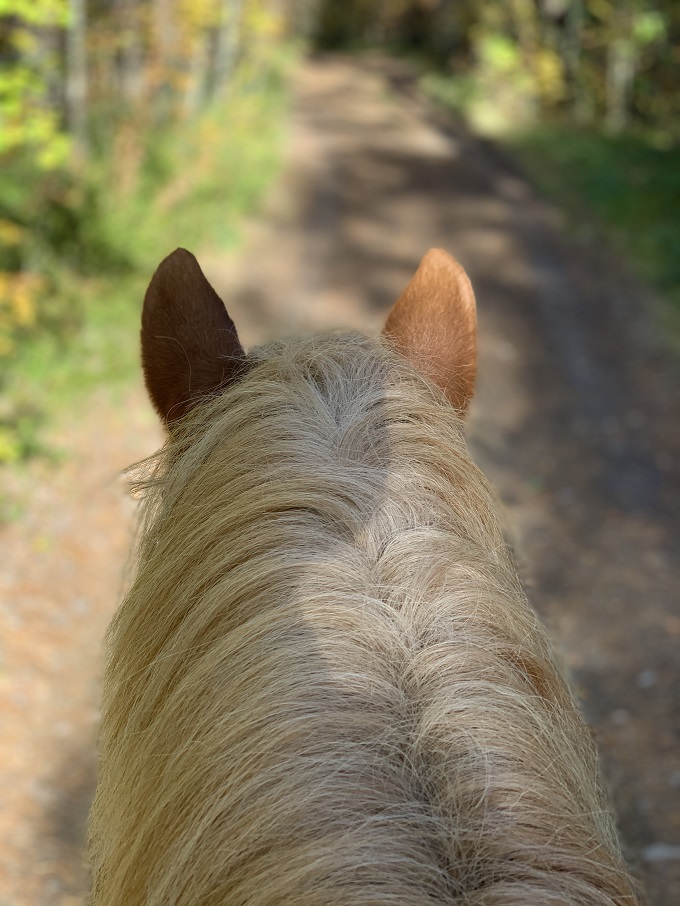 ߌF삼̐XnォU􂵂悤