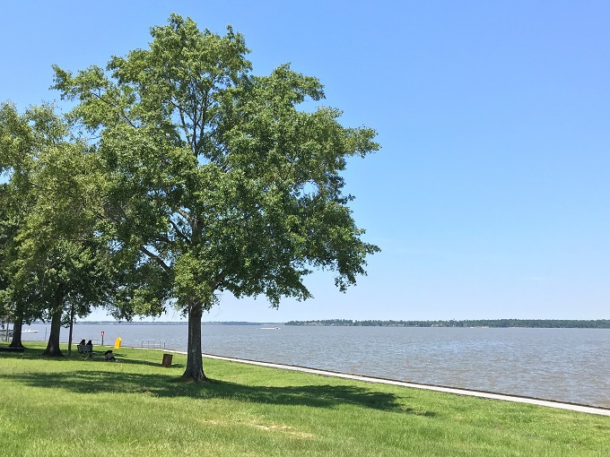 ߑOF΂n鐴XƃbcAgbLOI