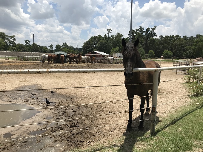 ߌF삼̐XnォU􂵂悤