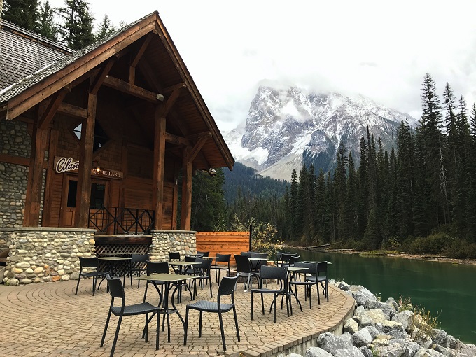 ���C�N�r���[�̃��X�g�����ŎY���W�r�G�����͂������H