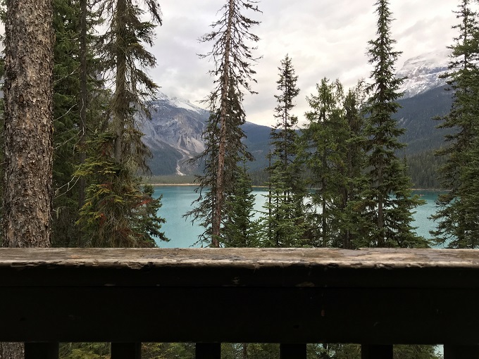 �d�̔����镔������_��̌΂��ЂƂ���