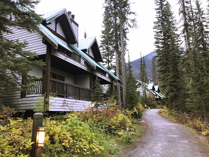 �d�̔����镔������_��̌΂��ЂƂ���