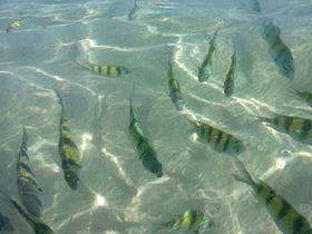 �^�C�E�s�s���̃I�X�X���ό��X�|�b�g8�I �������C��厩�R�𖞋i�I�̋L���T���l�C��