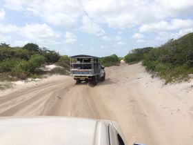 �����͒n���I�H��Ղ̔����� �u���W���̔鋫�����\�C�X�E�}���j�����Z�X���������̋L���T���l�C��