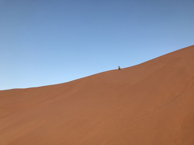 アブダビ リワ砂漠 アナンタラ カスール アル サラブ はアラビアンナイトの世界 アラブ首長国連邦 Lineトラベルjp 旅行ガイド