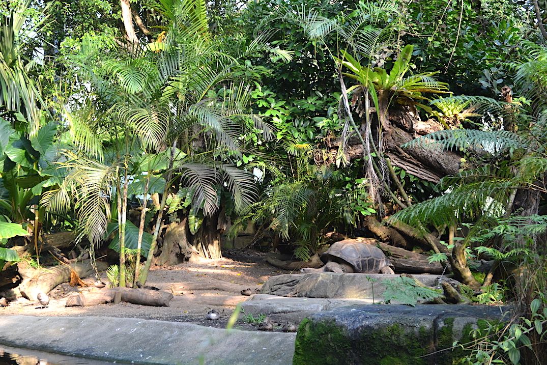 }_KXJ̔MщJю{݁u}\AMщJсv