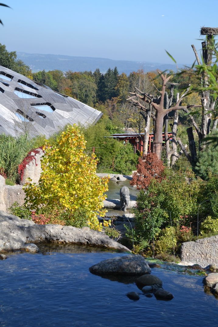 ̂т̂тƃ]E炷uP[EN`EGt@gp[Nv