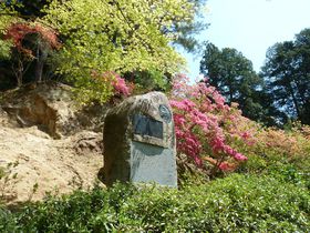 GW���X�X�����o�|���X�|�b�g�I�}�Ԃւ������ɍs�����̋L���T���l�C��