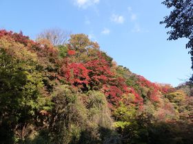 [ǐ^񒆁I{VkJŐigtUy̋LTlC