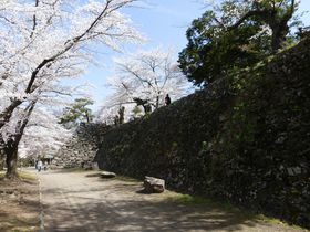 ���{�����疼��100�I�I�����u���É��v�y���ޏt�̐�i�̋L���T���l�C��