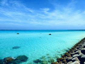 {Ósunv̐ir[`I17Gh̓r[`̋LTlC