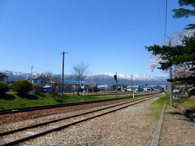 �����u�t�����[������v�ɏ�Ԃ��ďt�́u�u���������L�v�𖞋i���悤