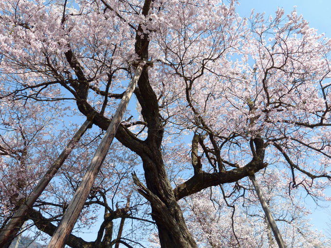 Ղȓciɗnނ悤ɍ炫c\̍I