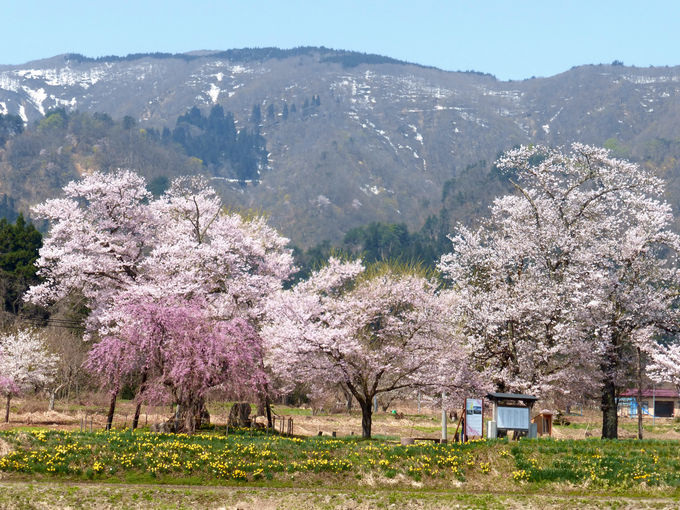 Ղȓciɗnނ悤ɍ炫c\̍I