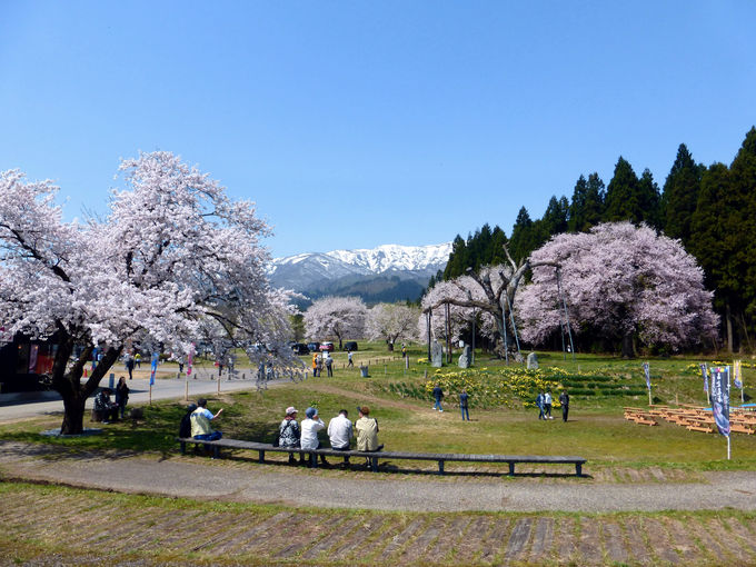 c钩A̔wif炵Ỉz_̍Q