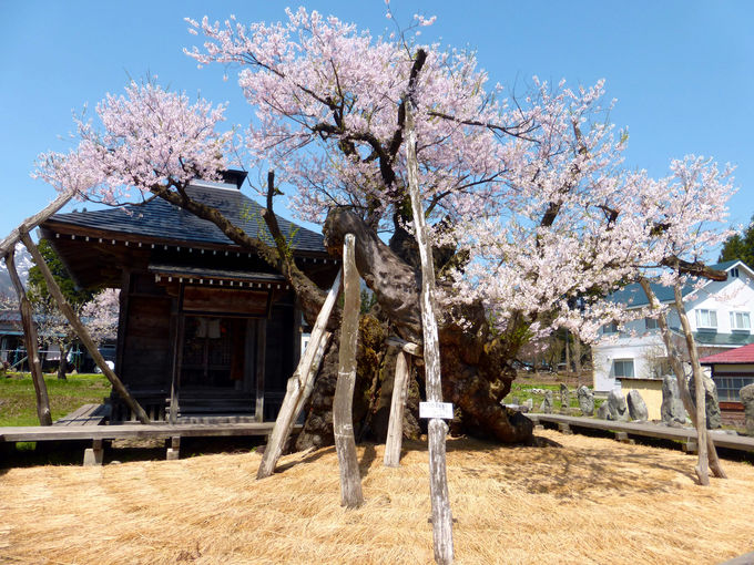 ͂ȂƖ1,200NIʂ̖tUN