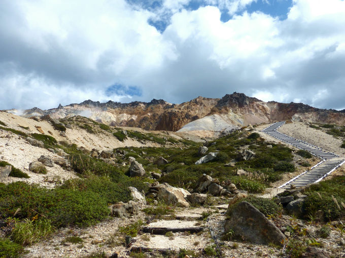 ꂪbRIȂ́gΎRhňۓI