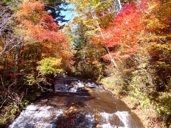 北海道 恵庭渓谷で絶景紅葉狩り 札幌から日帰りでも楽しめる 北海道 Lineトラベルjp 旅行ガイド