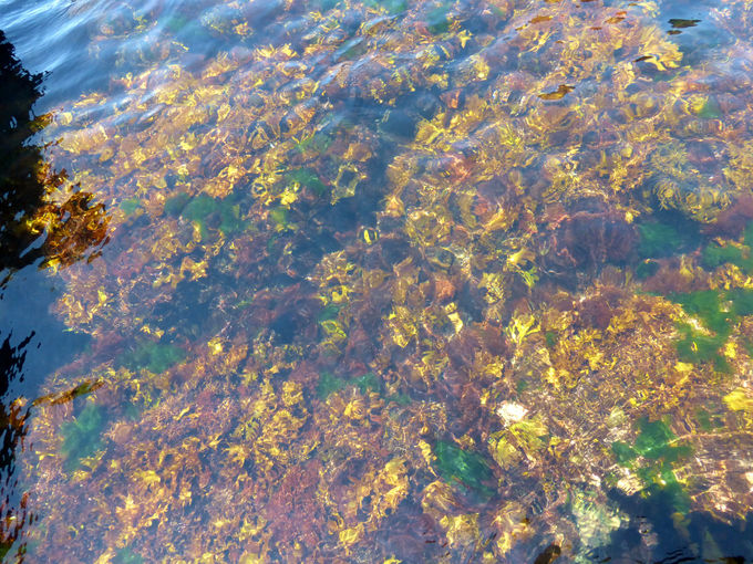 Rӂ̊C͂܂Őق̂悤ȓxI