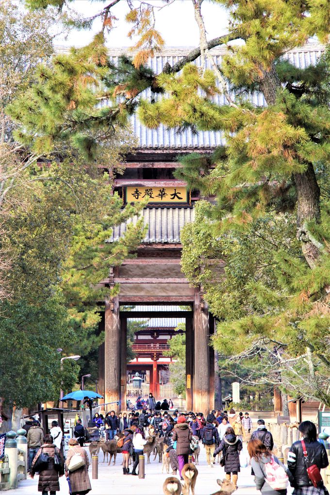 奈良の世界遺産！「奈良の大仏」「東大寺 大仏殿（金堂）」への行き方、アクセス