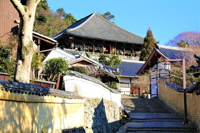 奈良の大仏 東大寺で再発見 大人が楽しむ奈良観光コース 奈良県 トラベルjp 旅行ガイド
