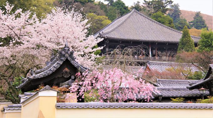 奈良・東大寺「二月堂」へは裏参道からのアクセスがおすすめ