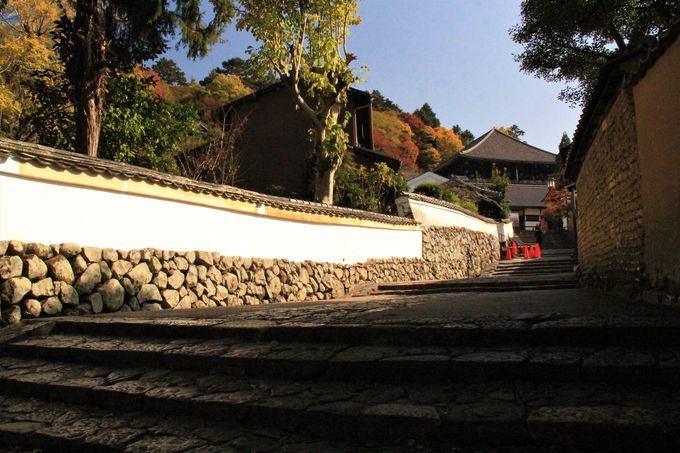 奈良・東大寺「二月堂」へは裏参道からのアクセスがおすすめ